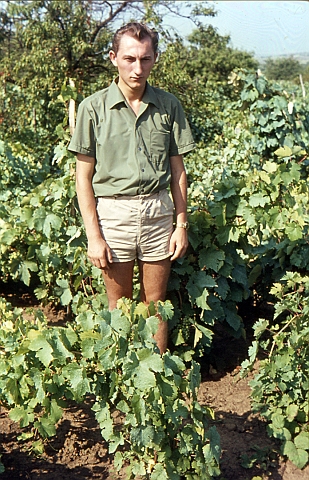 Der Franz.jpg